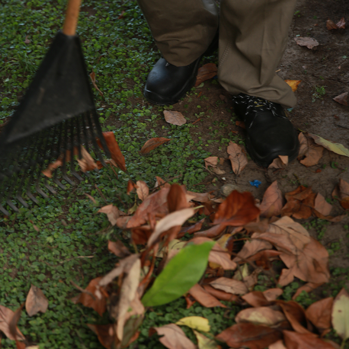 Untitled design - 2025-06-05T123252.159