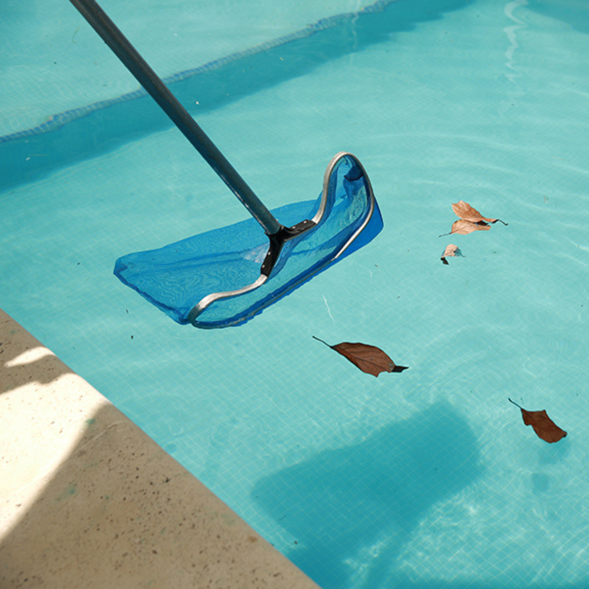 Untitled design - 2025-06-05T123325.238