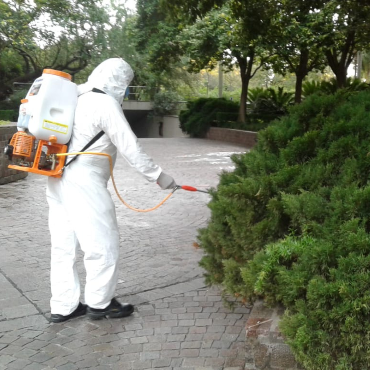 Untitled design - 2025-06-05T123501.472