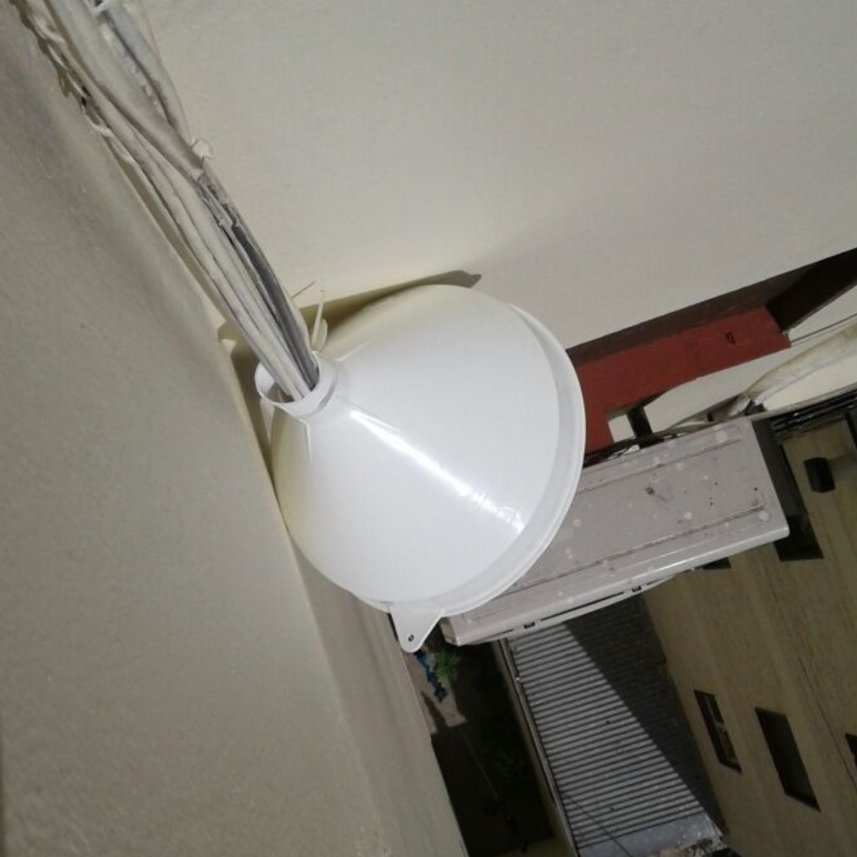 Untitled design - 2025-06-05T123633.124